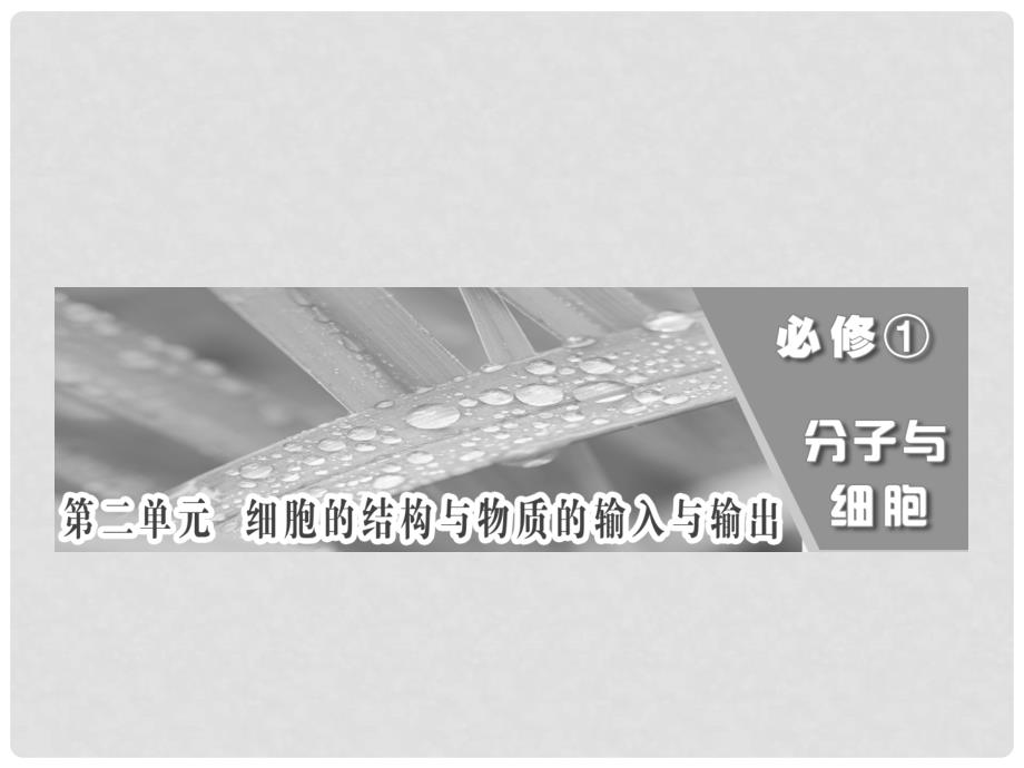 山东省乐陵市高中生物 第三章 细胞的基本结构 细胞膜与细胞核（含生物膜的流动镶嵌模型）课件 新人教版必修1_第1页