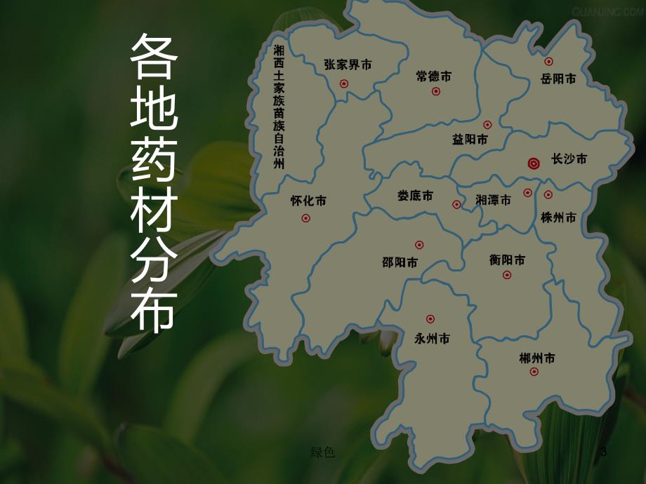 湖南省道地药材【行业浅析】_第3页