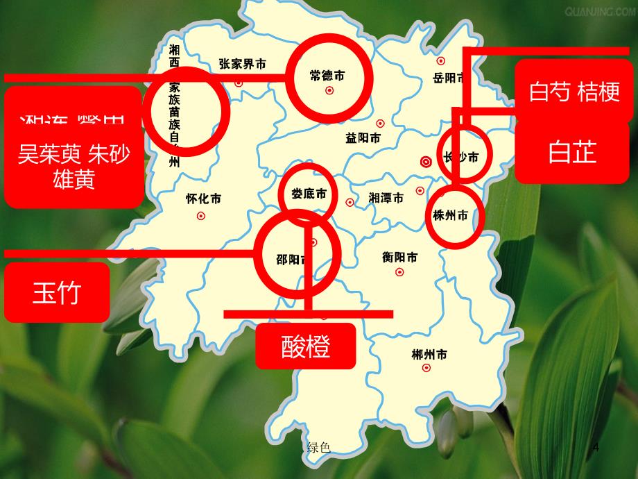 湖南省道地药材【行业浅析】_第4页