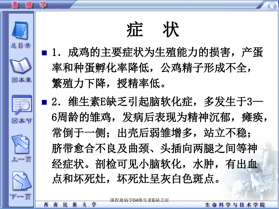 课程禽病学04维生素E缺乏症课件_第4页