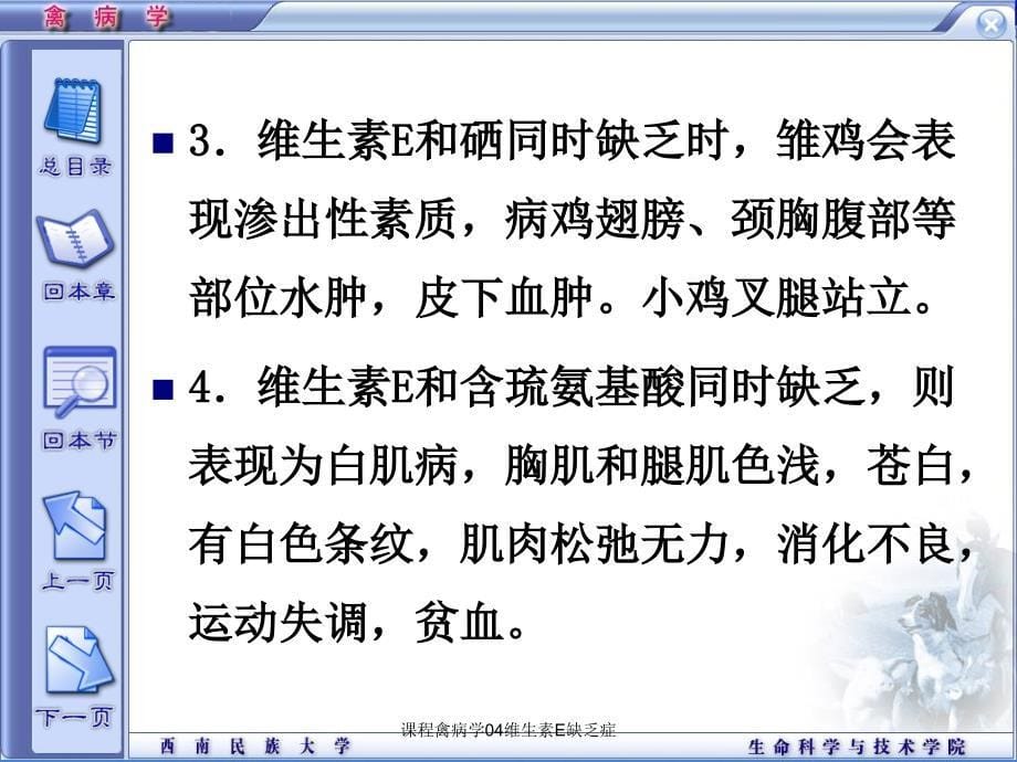 课程禽病学04维生素E缺乏症课件_第5页