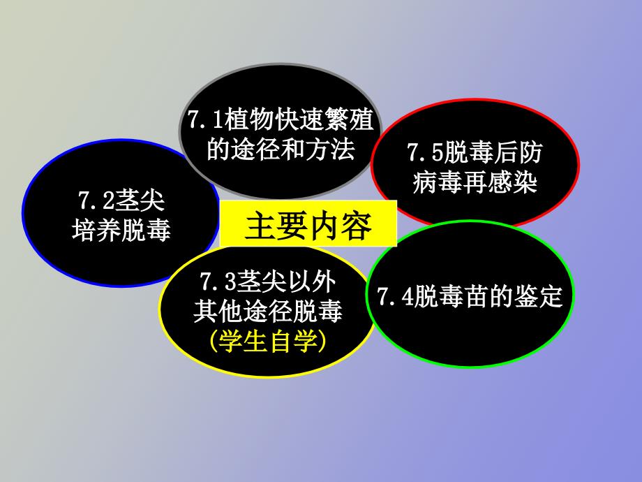 植物快速繁殖和脱毒_第3页