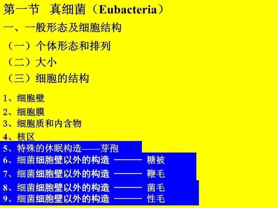 原核微生物形态结构.ppt_第5页