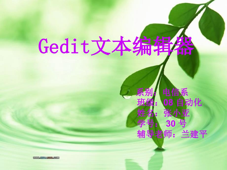 LINUX-Gedit文本编辑器.ppt_第1页