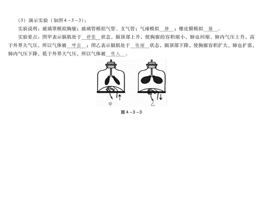 中考生物总复习课件第四单元第三章人体的呼吸共45.ppt_第5页