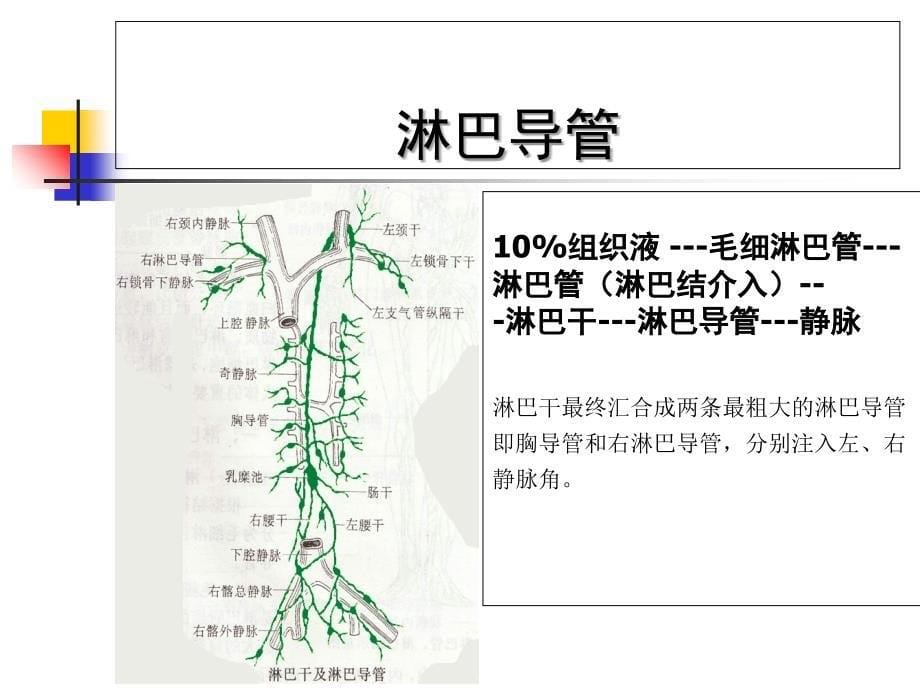 胸科手术术后乳糜胸综合治疗_第5页