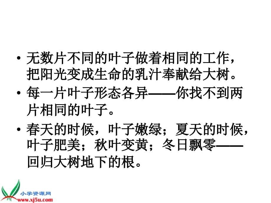 苏教版三年级语文上册《做一片美的叶子5》PPT课件_第5页