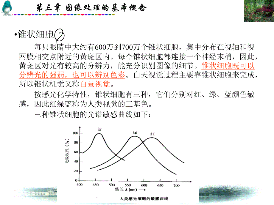 图像处理的基本知识.ppt_第4页