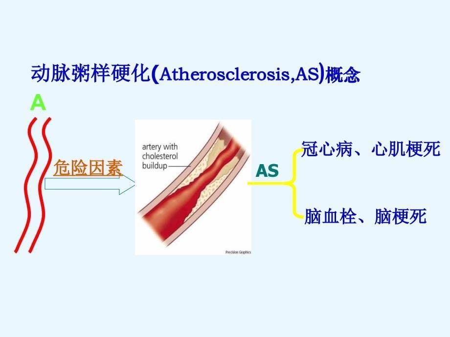 血浆脂蛋白及其代谢_第5页