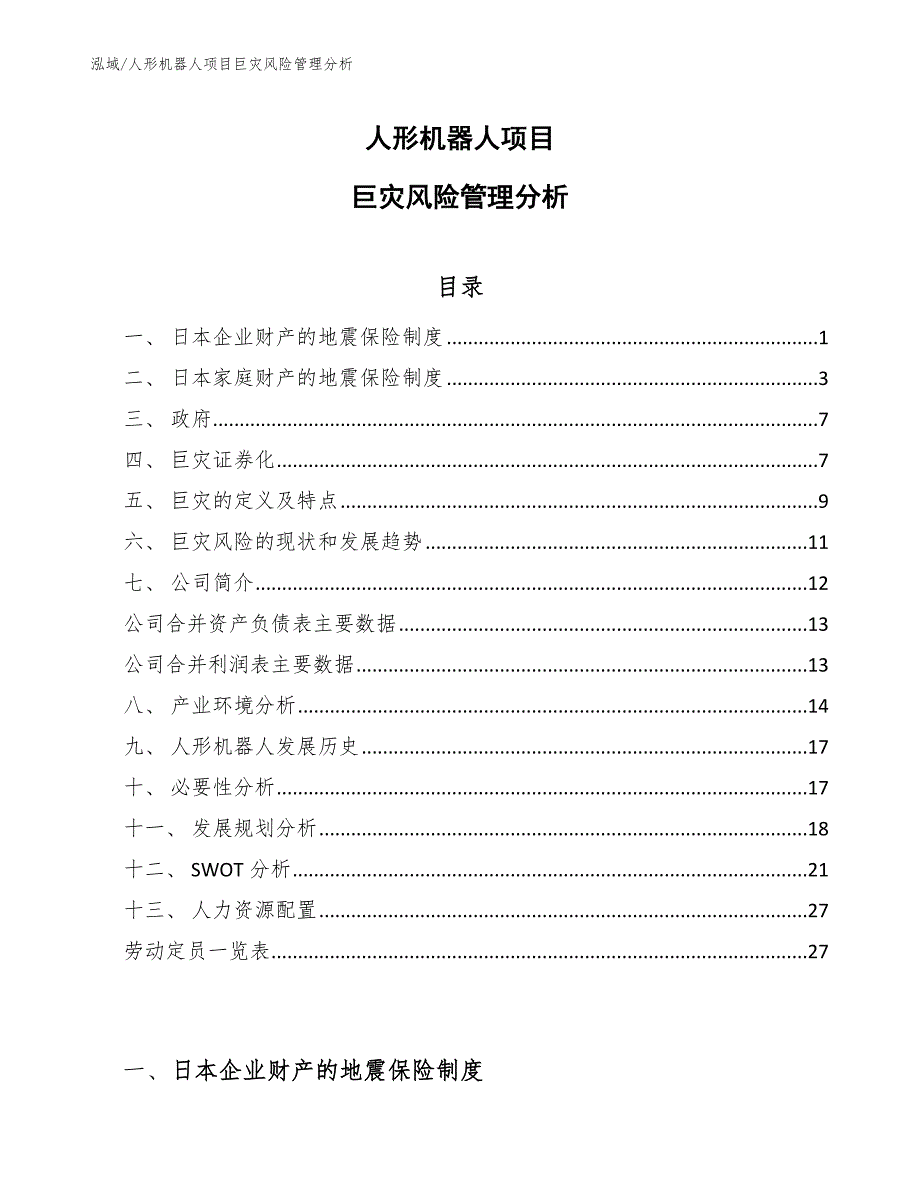 人形机器人项目巨灾风险管理分析_第1页