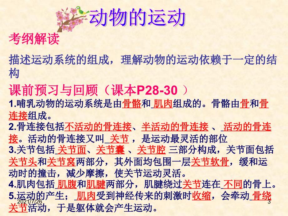 动物的运动和行为复习课详解课件_第3页