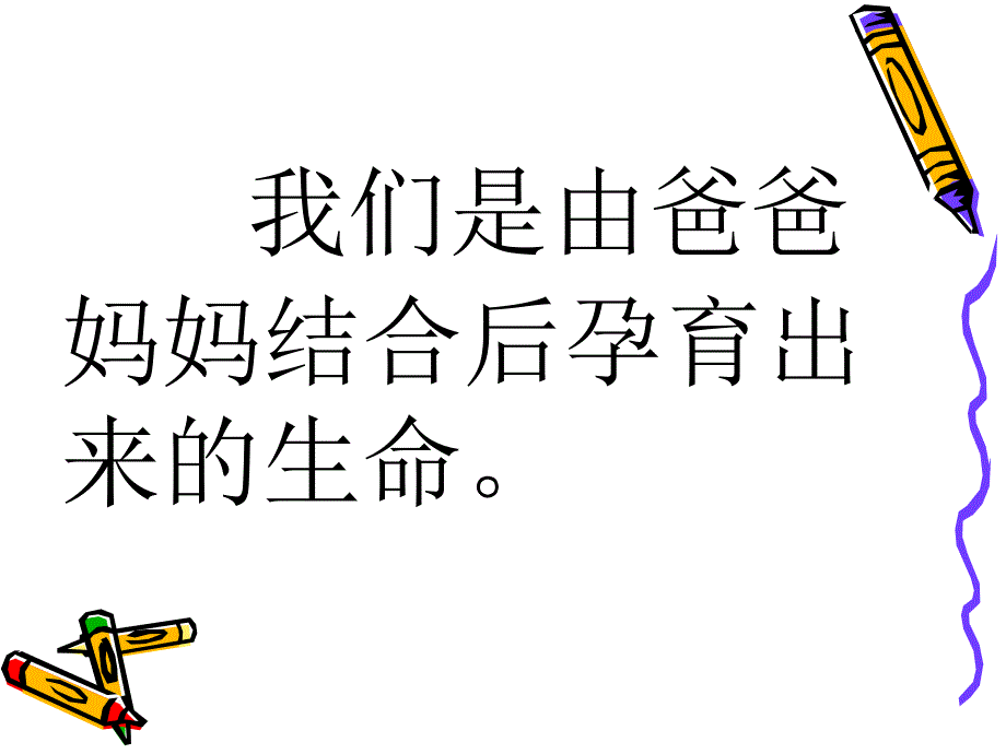 苏教版小学科学五年级下册我是怎样出生的PPT课件_第3页