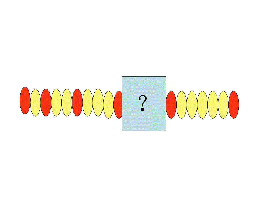 大班数学活动“简单推理”课件_第3页