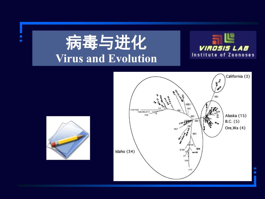 1病毒和进化讲稿_第1页