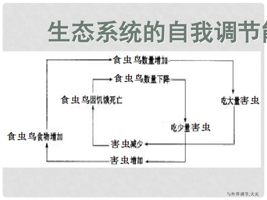 高中生物《第五章 第五节 生态系统的稳定性》课件1 新人教版必修3_第5页