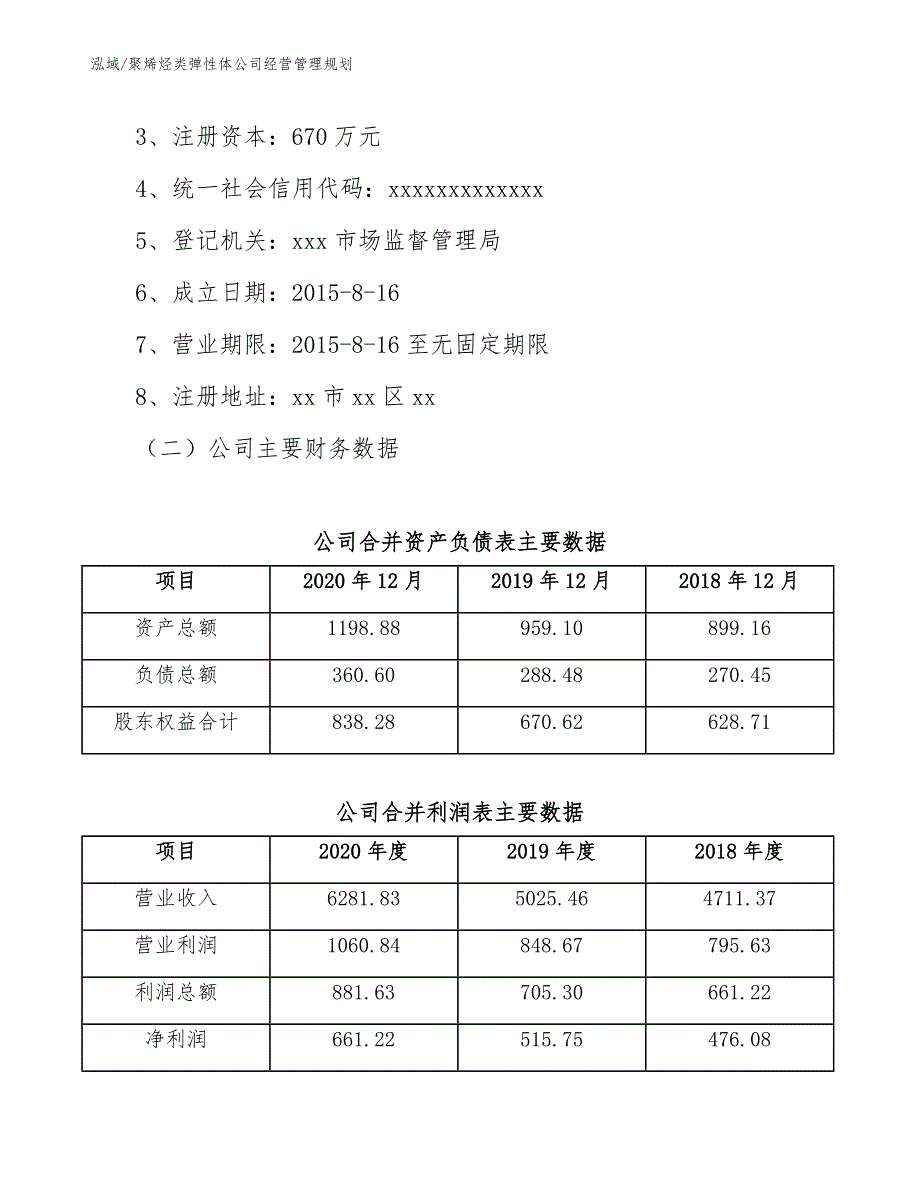 聚烯烃类弹性体公司经营管理规划【范文】_第2页