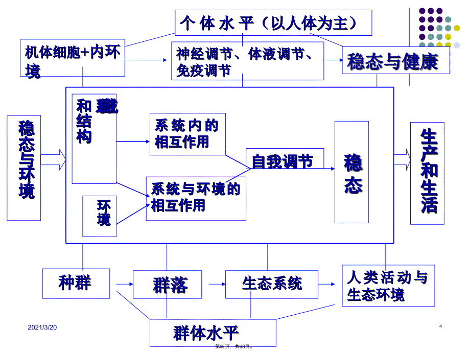 人体的内环境与稳态_第4页