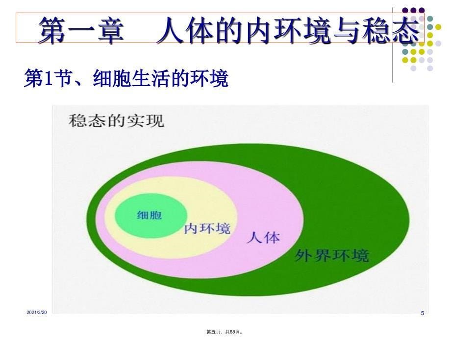 人体的内环境与稳态_第5页