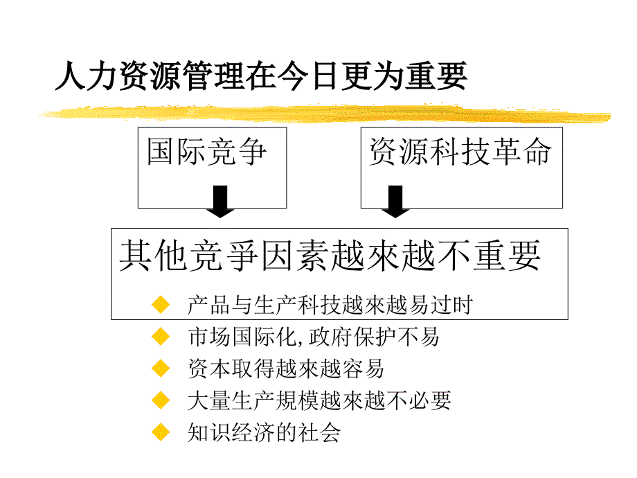 自我介绍整理ppt_第3页