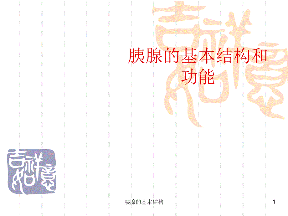 胰腺的基本结构课件_第1页