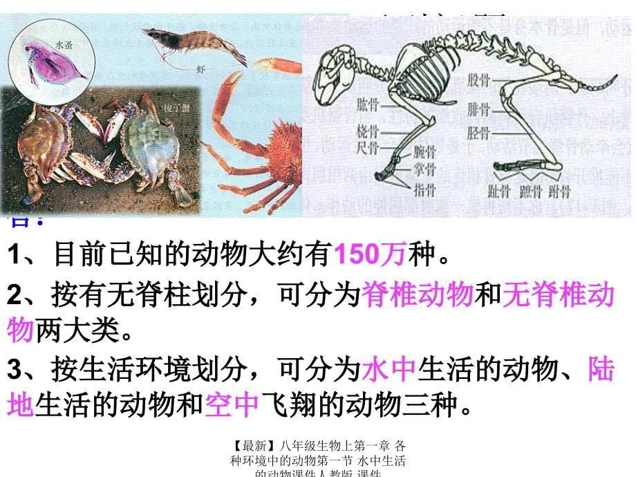 最新八年级生物上第一章各种环境中的动物第一节水中生活的动物课件人教版课件_第5页