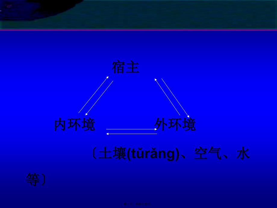 -感染与免疫-正常菌群与机会致病菌课件_第1页