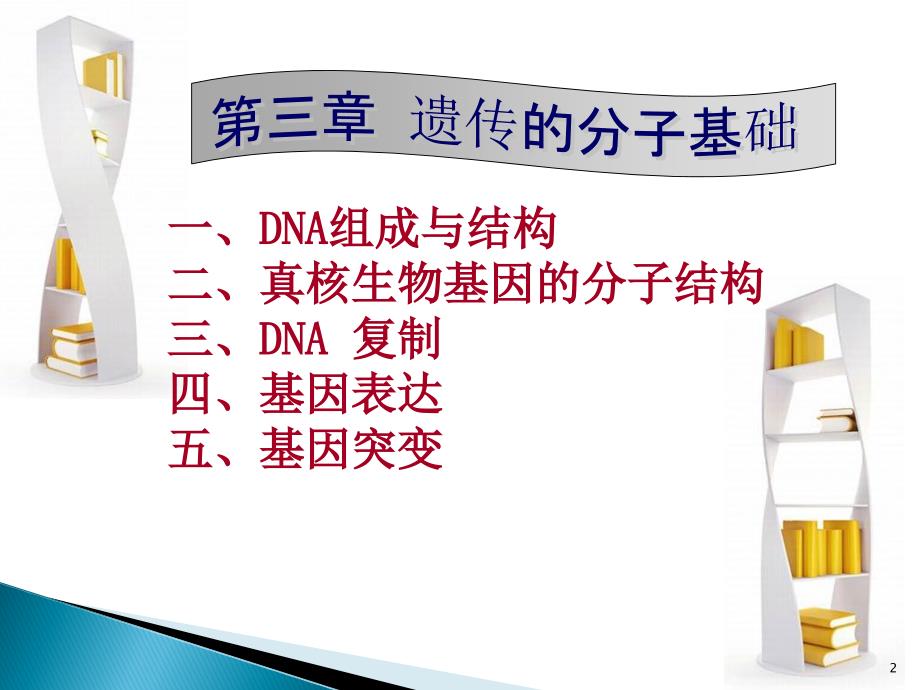 分子基础ppt课件_第2页