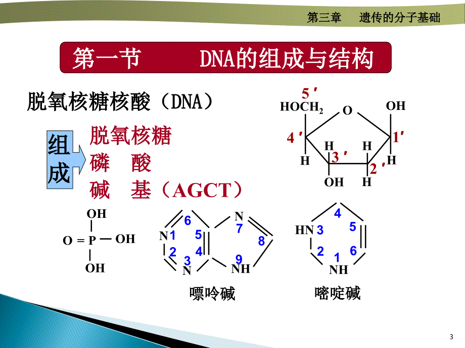 分子基础ppt课件_第3页