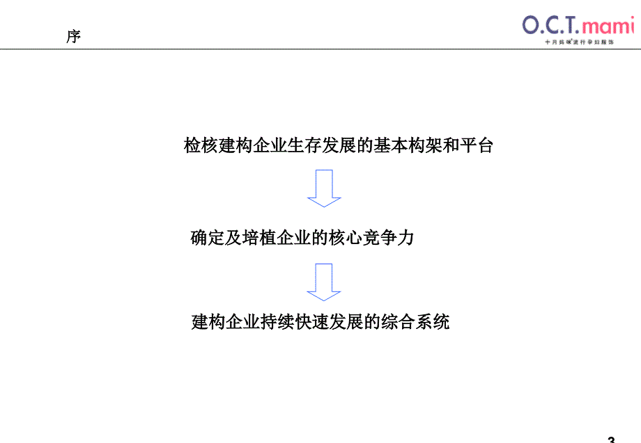 十月妈咪孕妇装咨询项目建议书_第3页