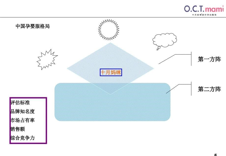 十月妈咪孕妇装咨询项目建议书_第5页