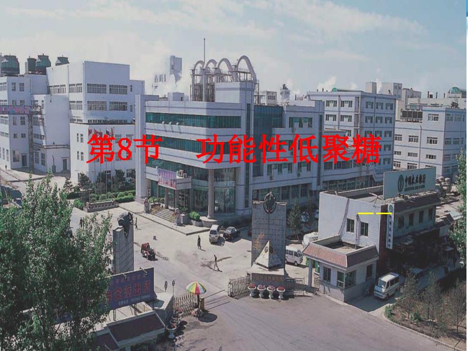 淀粉糖生产技术_第1页
