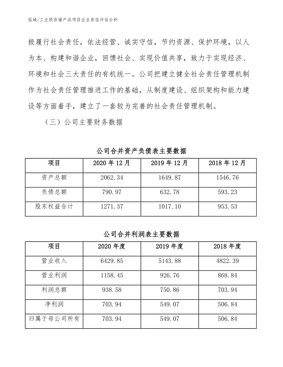 工业级存储产品项目企业资信评估分析（范文）_第4页