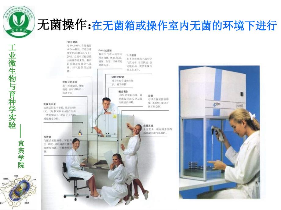 实验二微生物的分离纯化课件_第4页