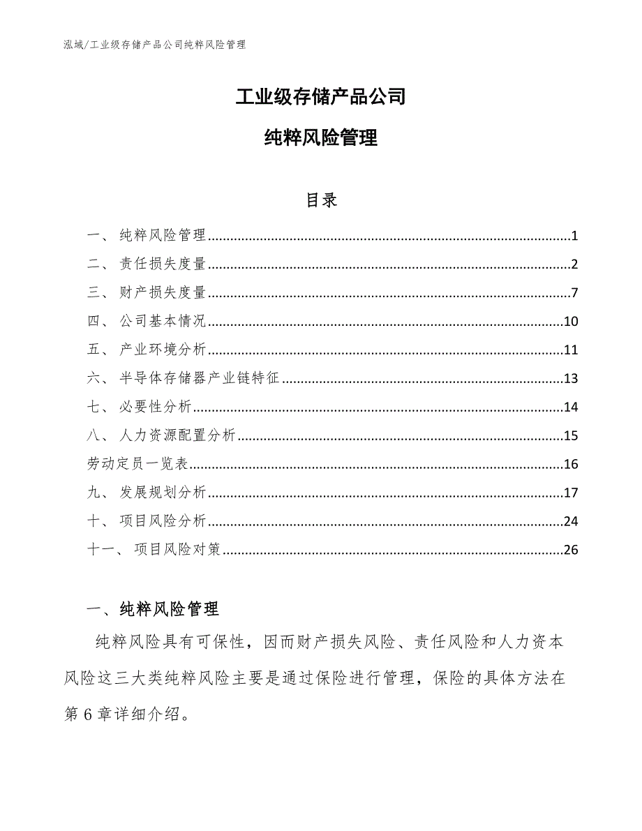 工业级存储产品公司纯粹风险管理_参考_第1页