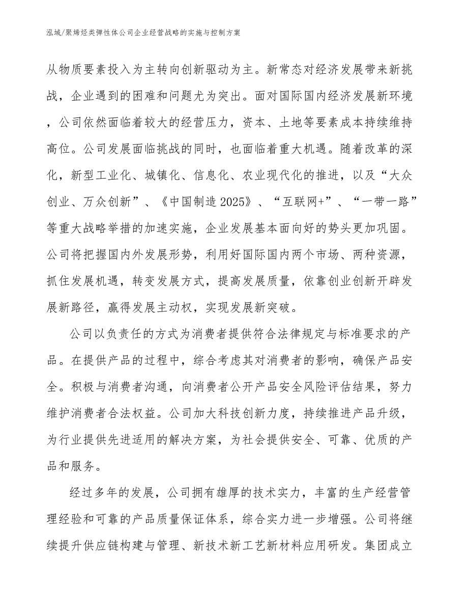 聚烯烃类弹性体公司企业经营战略的实施与控制方案【范文】_第5页