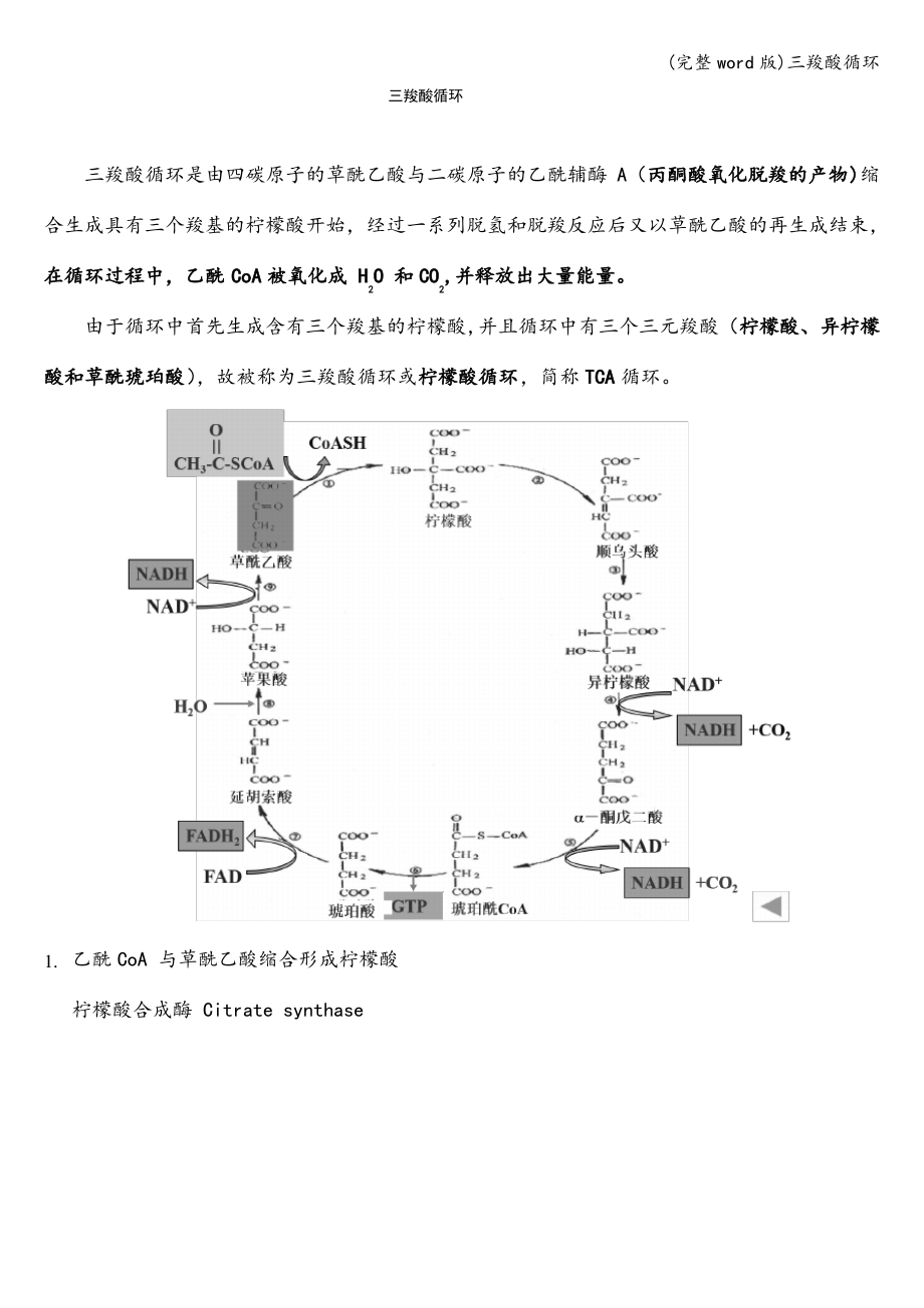 三羧酸循环四碳原子_第1页