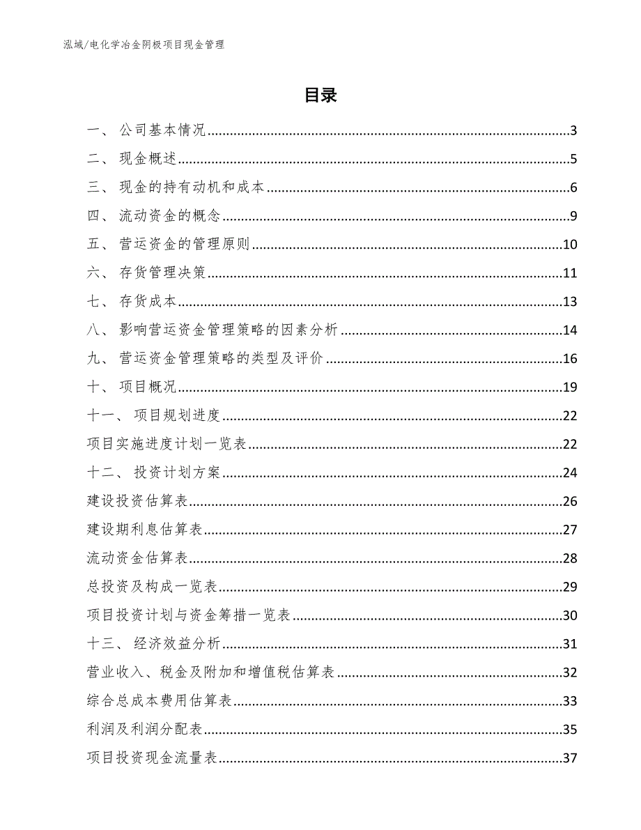 电化学冶金阴极项目现金管理（参考）_第2页