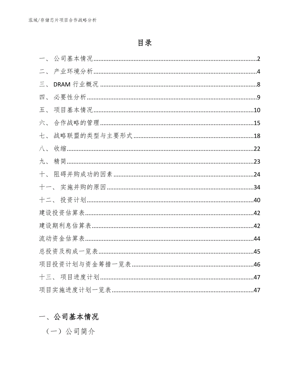 存储芯片项目合作战略分析【范文】_第2页