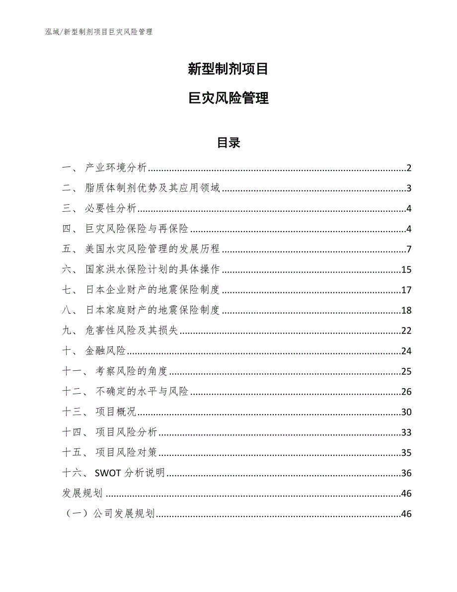 新型制剂项目巨灾风险管理（范文）_第1页