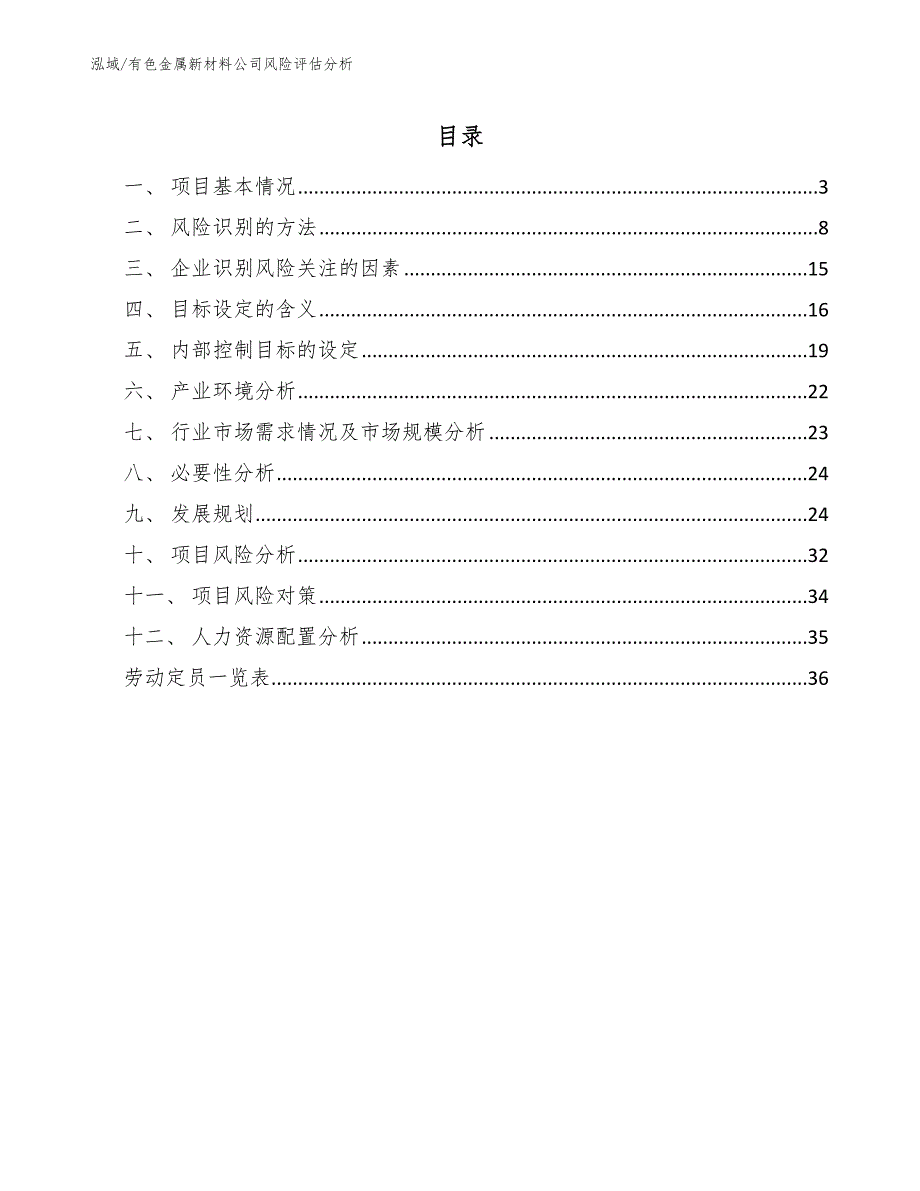 有色金属新材料公司风险评估分析（范文）_第2页