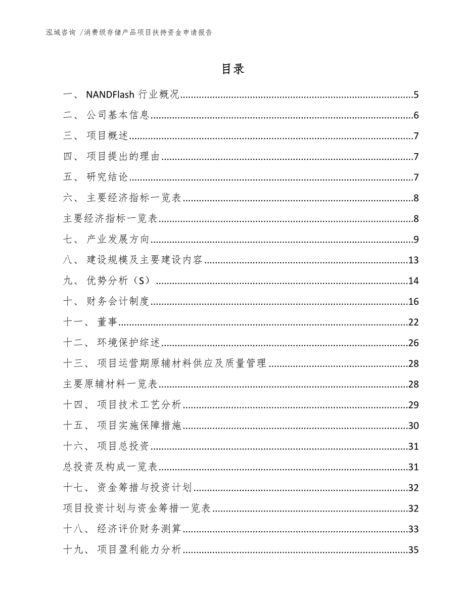 消费级存储产品项目扶持资金申请报告【模板】_第1页