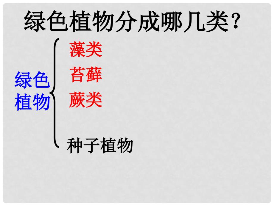 山东省临沂市费城镇初级中学七年级生物上册 第三单元 第一章 第一节《藻类植物》课件 新人教版_第3页