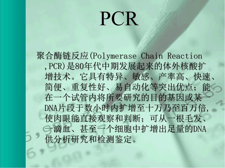 CR引物设计及相关软件的应用超实用_第3页