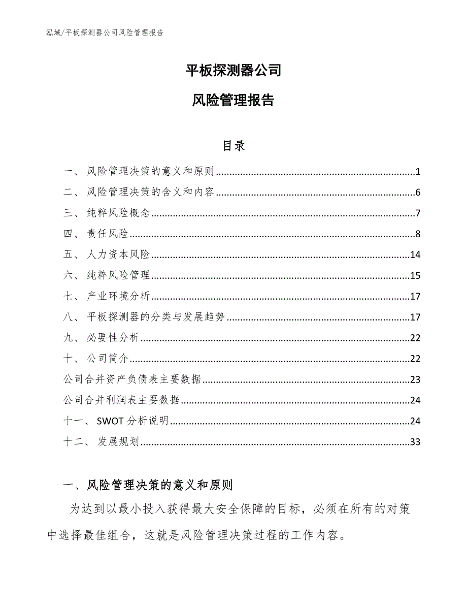 平板探测器公司风险管理报告【范文】_第1页