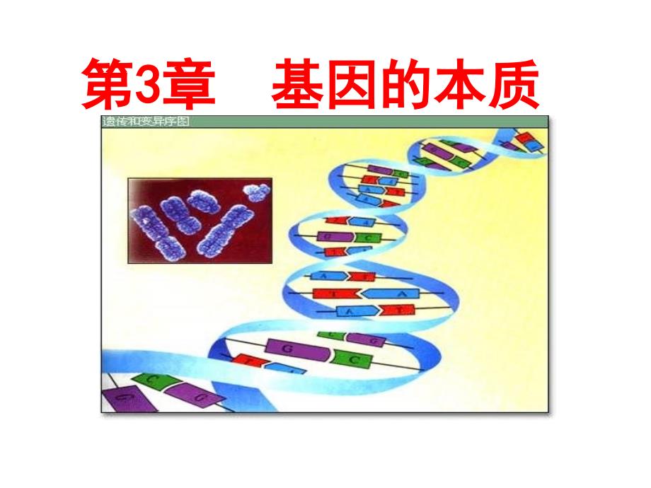 基因的本质课件_第1页