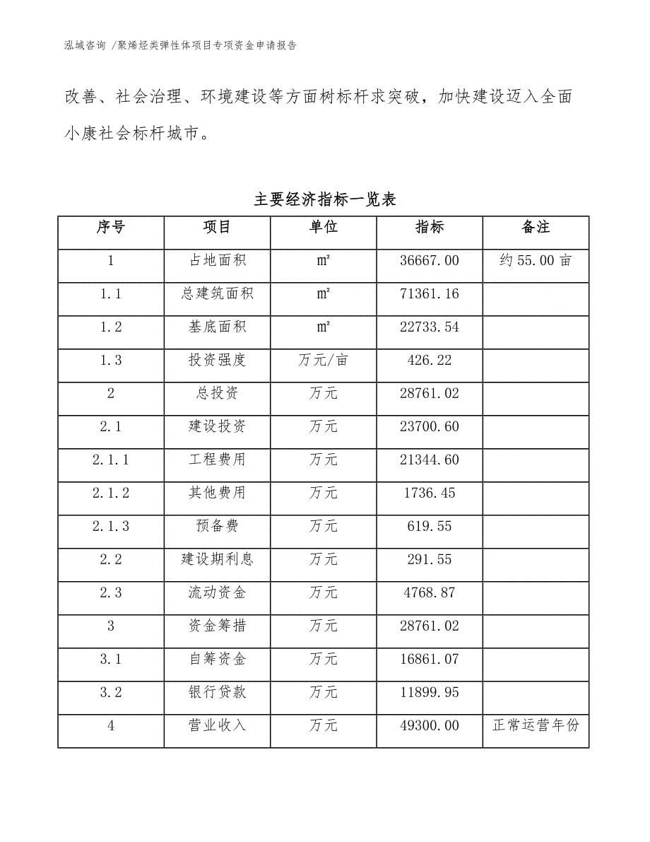 聚烯烃类弹性体项目专项资金申请报告（参考模板）_第5页