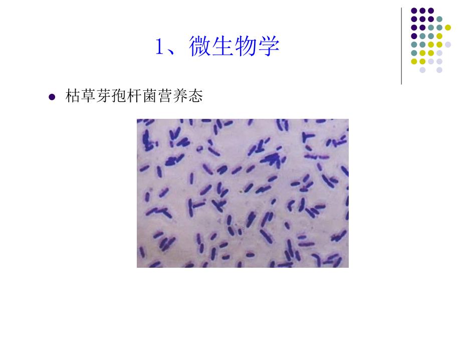 微生物卫生学洁净技术知识培训_第4页