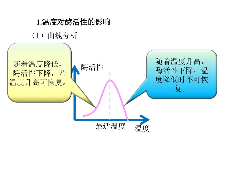 高考生物一轮复习 第三单元 细胞的能量供应和利用 03 探究影响酶活性的因素课件 新人教版_第3页