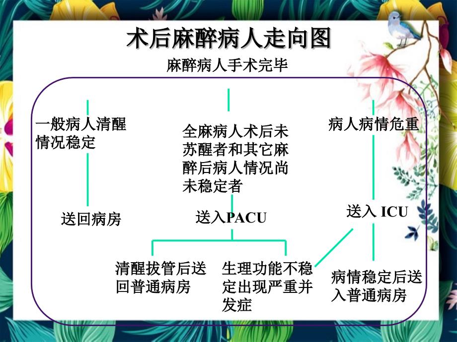 麻醉恢复期病人应注意的几个问题郭曲练_第3页