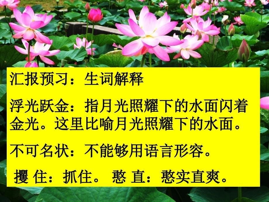 荷塘旧事课件(北师大版六年级语文上册课件)_第5页